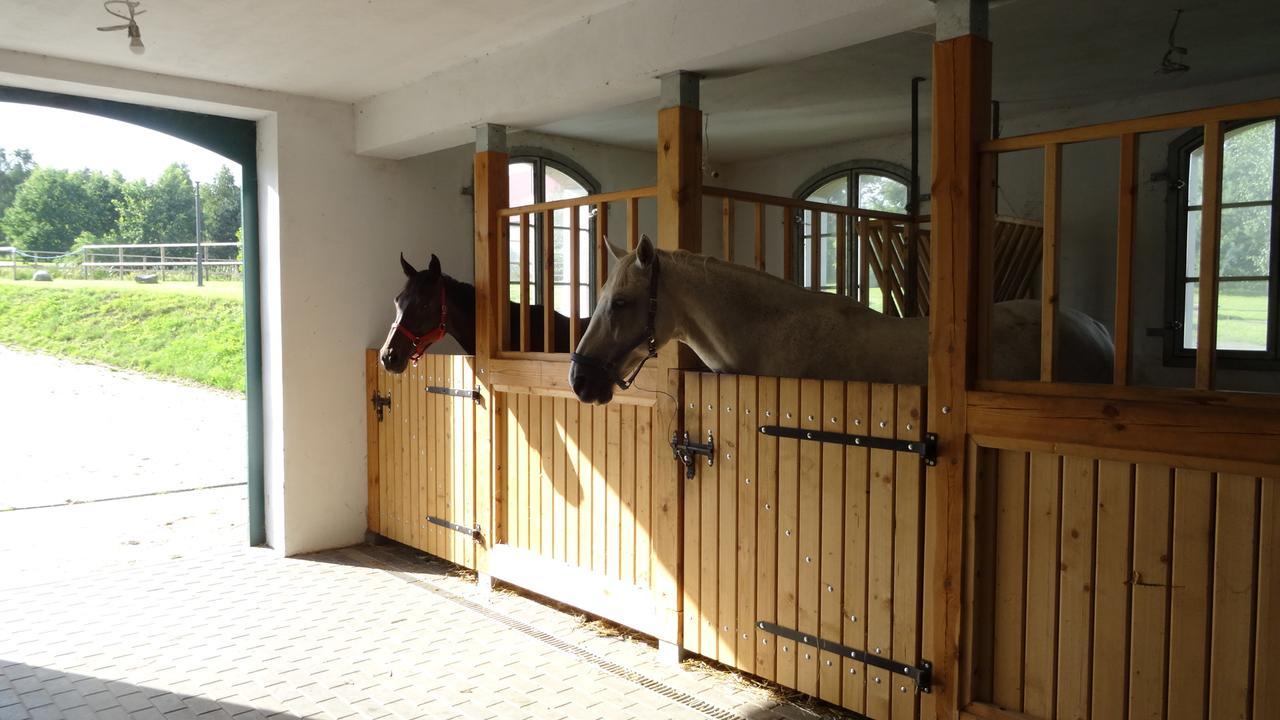 Palac I Folwark Nemino Sierakowice  Extérieur photo